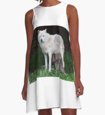 Remus and Romulus - Arctic Wolf A-Line Dress