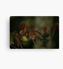 New life Canvas Print