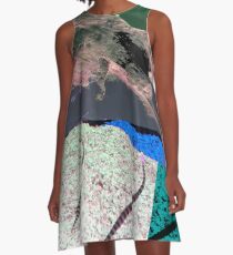 DIVE IN A-Line Dress