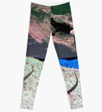 DIVE IN Leggings
