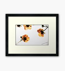 Unique Framed Print