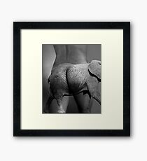 jj Framed Print