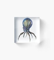Bloque acrílico Crabsquid