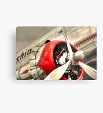 DC3 - Flagship Metal Print