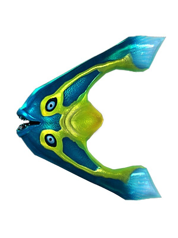 "Boomerang Fish" by UnknownWorlds | Redbubble