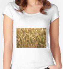 Ripening Wheat Field Women's Fitted Scoop T-Shirt