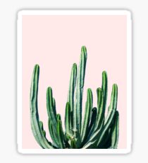 Cactus V6 #redbubble #lifestyle Sticker