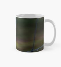 Fence Web in the Morning Dew Mug