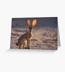 Let the Sun Shine Through Greeting Card