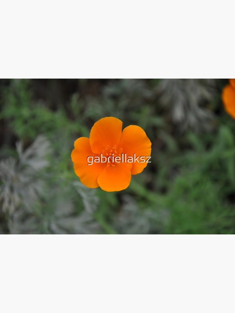 Flower power by gabriellaksz