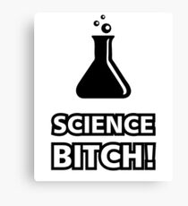 Science Bitch Funny Canvas Print
