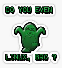 LINUX BRO Sticker