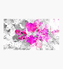 Abstract pink floral art (bougainvillea) Photographic Print