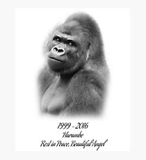 Rest in Peace, Harambe Photographic Print