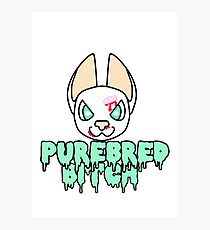 Purebred Bitch Photographic Print