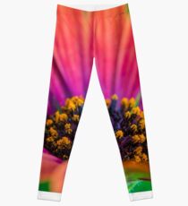 Pollen Leggings