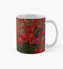 Lanzarote Mug