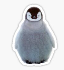 Pengu 7 Sticker
