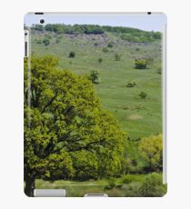 Landscape iPad Case/Skin