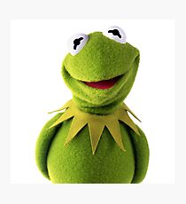 Kermit the Frog Photographic Print