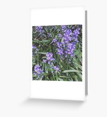 Flowers, Flowers, Flowers Greeting Card