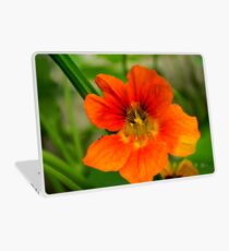 last autumn flower Laptop Skin