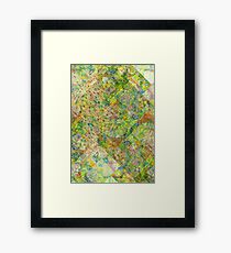 counterspace Framed Print