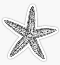 Starfish Sticker