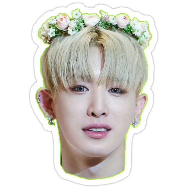 toxic green monsta x wonho stickers by mintysoo redbubble