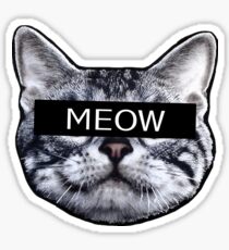 Censor Cat Sticker
