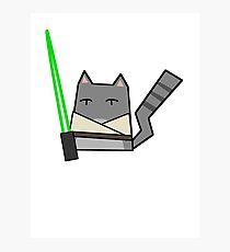 Skywalker Cat Photographic Print