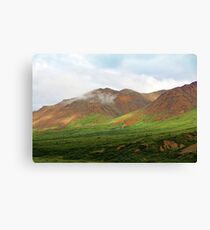 Sable Pass, Denali National Park Canvas Print