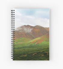 Sable Pass, Denali National Park Spiral Notebook
