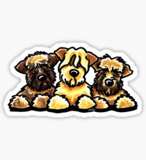 Three Wheaten Softies Sticker
