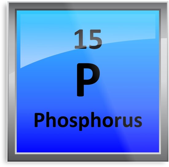 phosphorus element tile periodic table metal print by sciencenotes