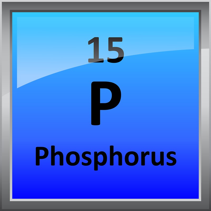 phosphorus-element-tile-periodic-table-stickers-by-sciencenotes