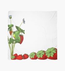 strawberries Scarf