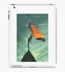 Orange Sulphur butterfly macro on petals color photo 2 iPad Case/Skin