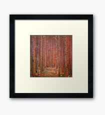 Tannenwald I by Gustav Klimt Fine Art Framed Print