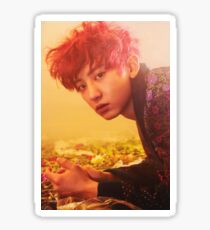 Chanyeol Sticker