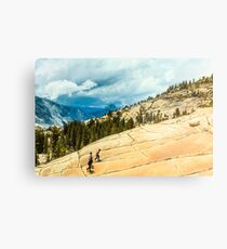 Olmsted Point Yosemite Metal Print