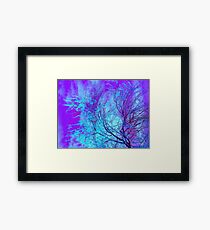 Zen Framed Print