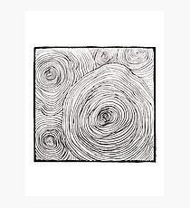Tree Rings Photographic Print