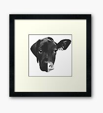 Animal Equality - (Black & White) Framed Print