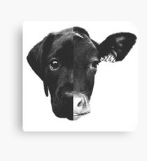 Lienzo Igualdad animal - (blanco y negro)