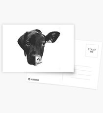 Animal Equality - (Black & White) Postcards