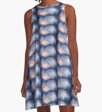 Roosting A-Line Dress