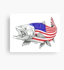 Lienzo American Steel Head Salmon