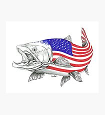 Lámina fotográfica American Steel Head Salmon