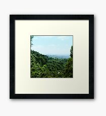 #886.002 "Tranquil Forest/ Taichung" Framed Print